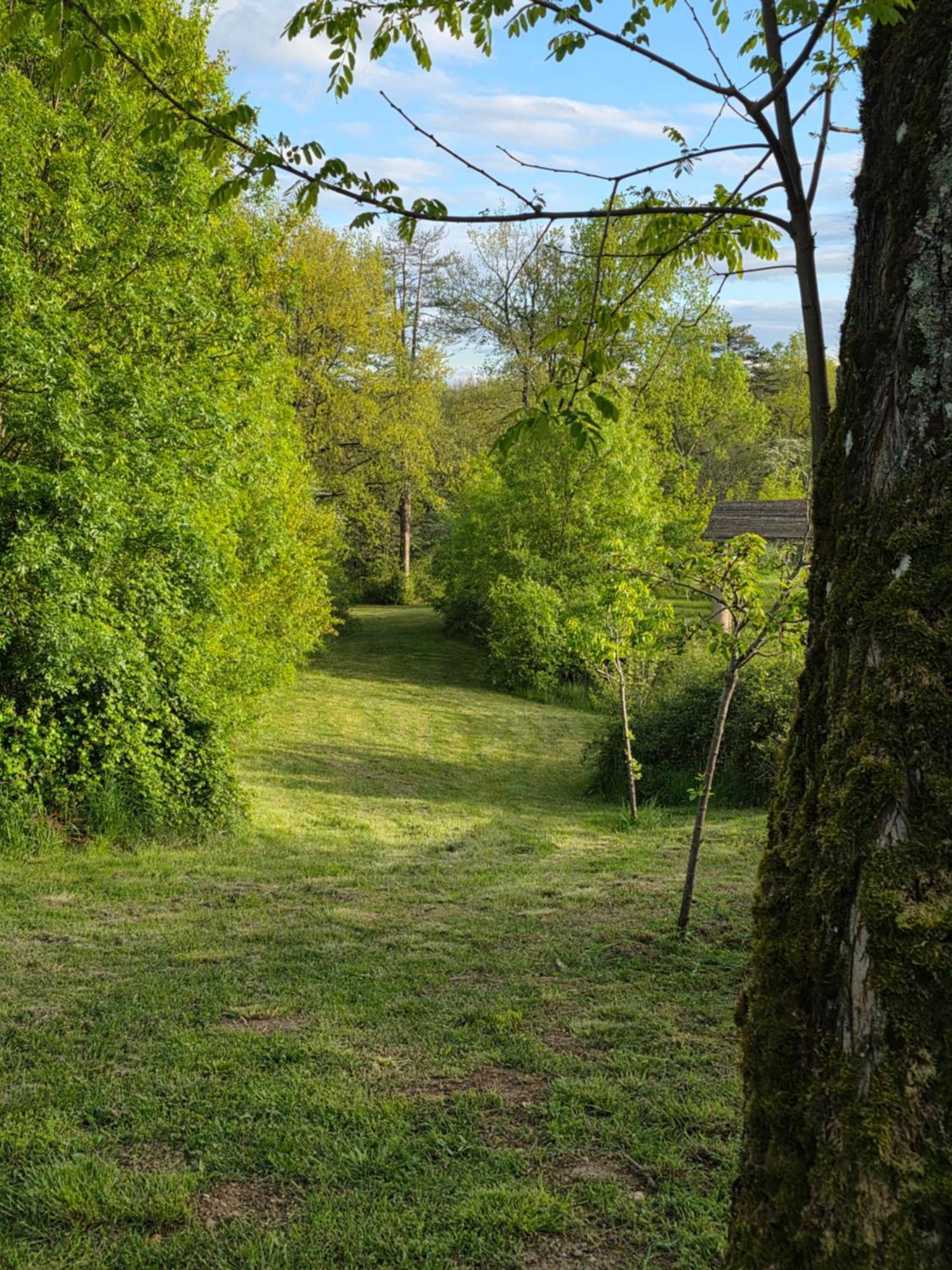 Chateau De Pourpry Damiatte Buitenkant foto