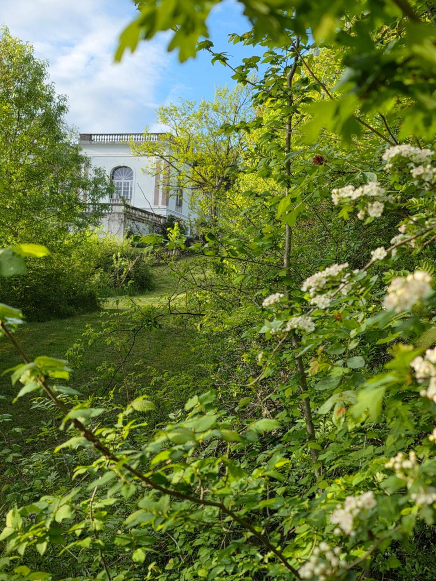 Chateau De Pourpry Damiatte Buitenkant foto