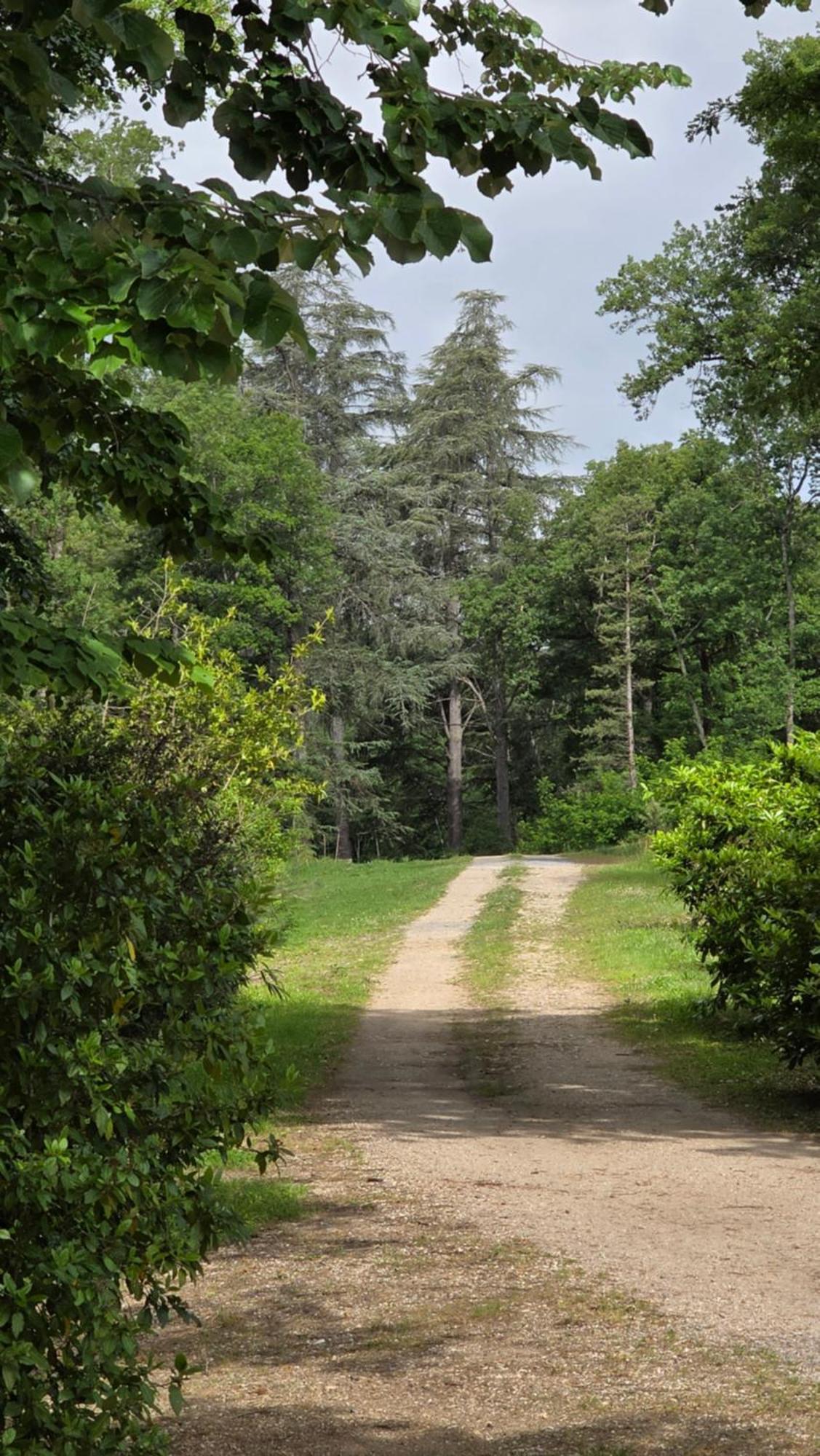 Chateau De Pourpry Damiatte Buitenkant foto